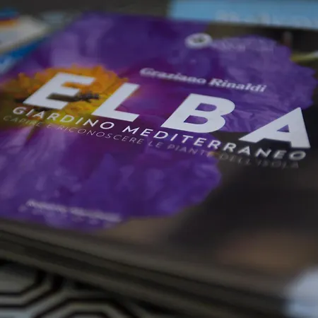 Padullella, Mare E Sole!! Casa vacanze